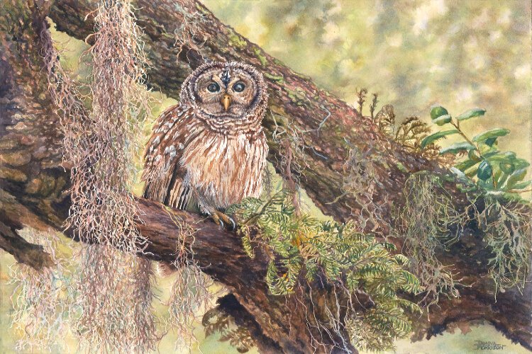 “My passion is nature,’’ Tampa painter Donna Morrison says of her art. “I see a thing in nature that I love and I can recreate, it gives me a lot of pleasure and then it’s kind of out of my system."
