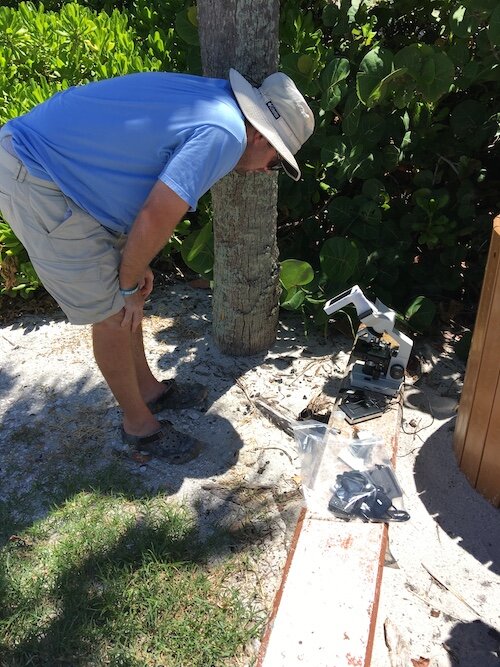 HABscope is a citizen science device used for water sampling. A 3D-printed attachment connects a smartphone device to a microscope to get close-up video images of microscopic organisms in water samples.