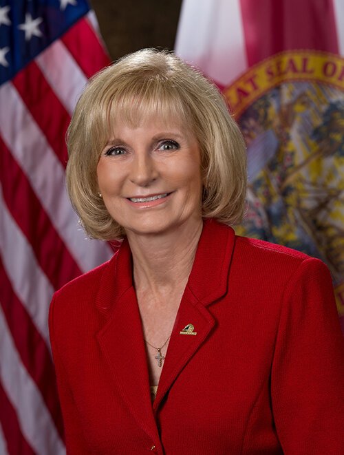 Sandra Murman, Hillsborough County Commissioner