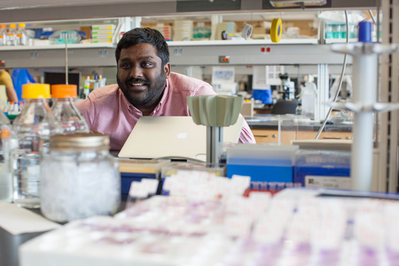 Swamy Adapa, a biological scientist, performs data analysis  for malaria studies.