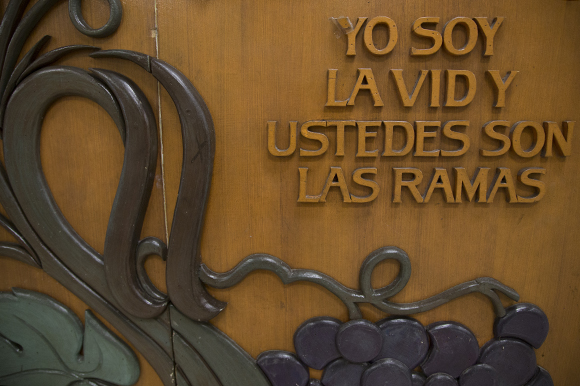 "I am the vine you are the branches."