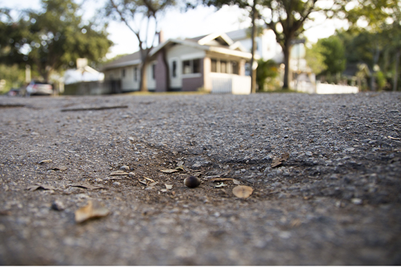 St. Pete pothole.