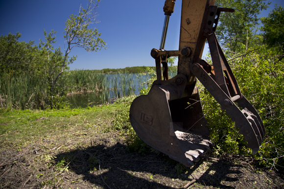 Restoration at the Feather Sound site includes removing invasive Brazillian pepper.