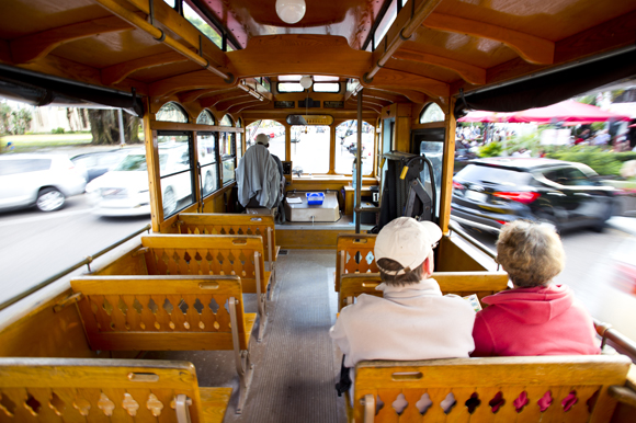 The St Petersburg Trolley rolls down Beach Drive.