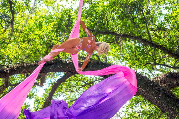 Massive oak trees provide shade for the Aerial Silk Fantasy performances during the 2024 Bay Area Renaissance Festival.