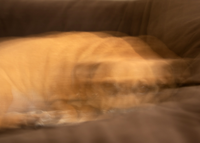 A photograph Michael Congdon made for the workshop.