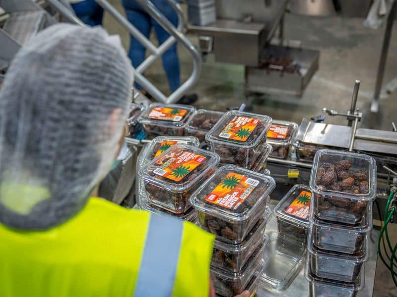 Worker managing date packaging in a modern industrial facility, ensuring quality control.